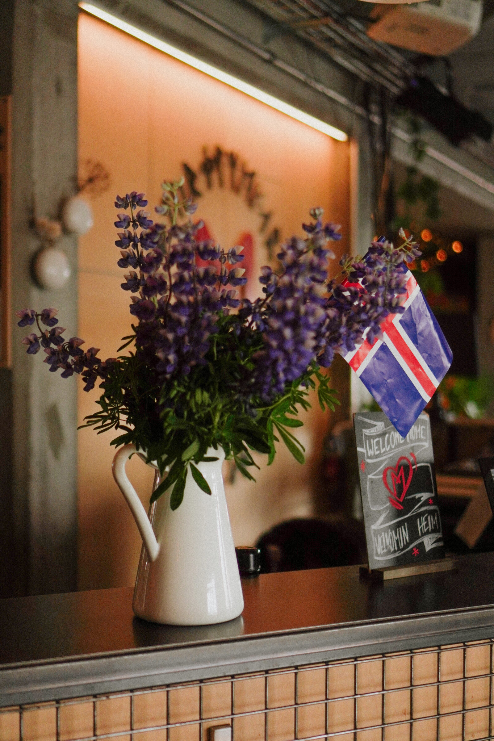 Internship in Iceland