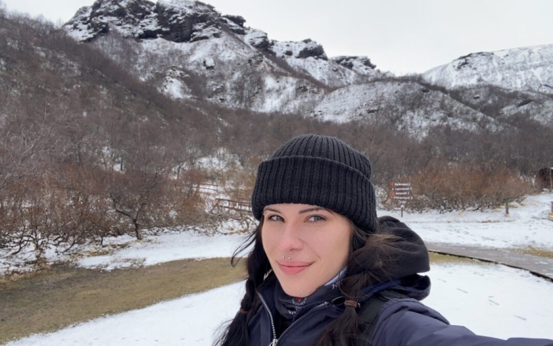 Internship in Iceland