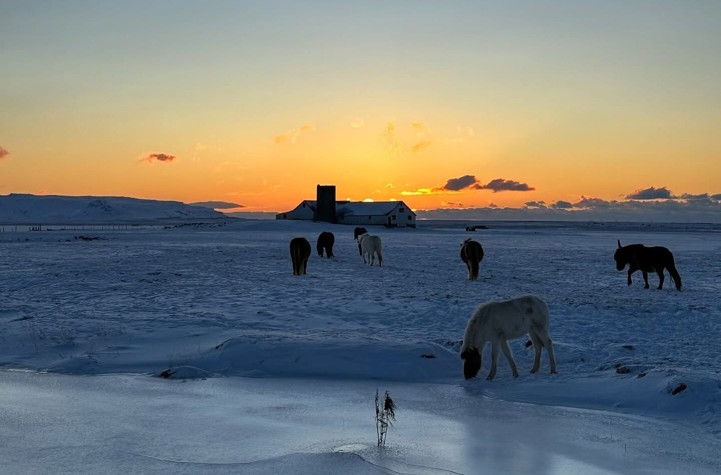 icelandic winter