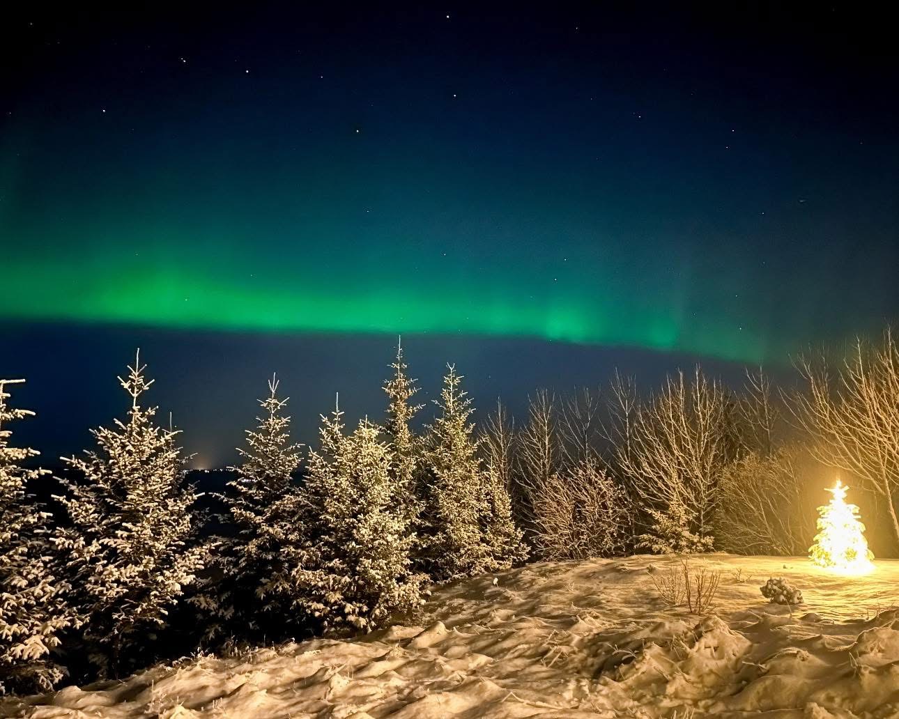 icelandic winter