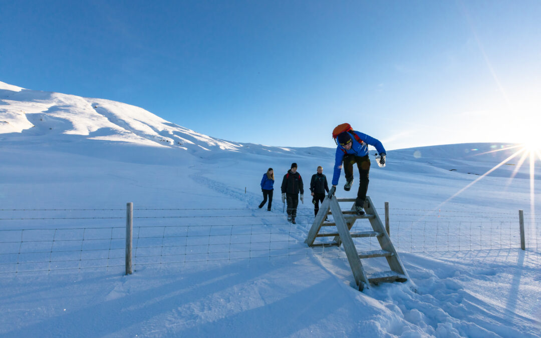 Winter Travel in Iceland: Expect the Unexpected