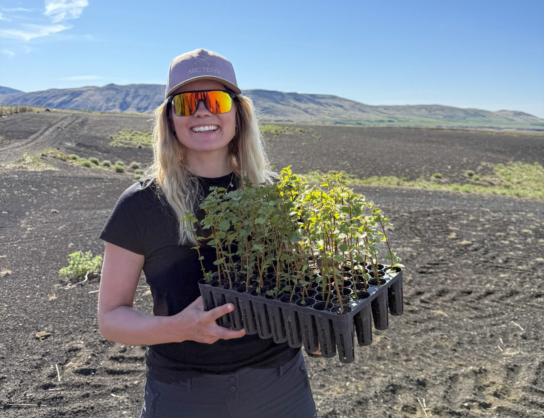 sustainable travel in Iceland